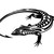 llizard